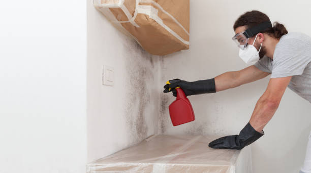 Professional Mold Removal technician working in McBain, MI