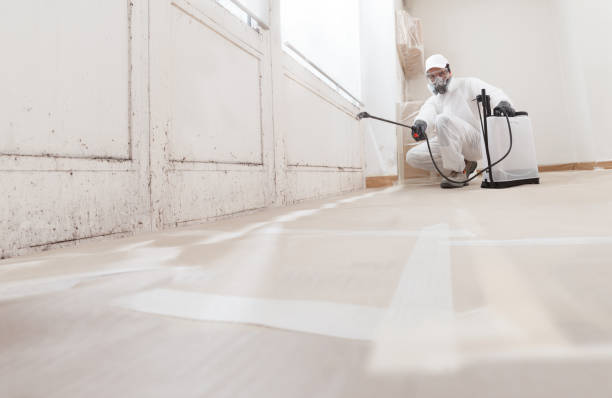 24/7 Emergency Mold Removal experts in McBain, MI