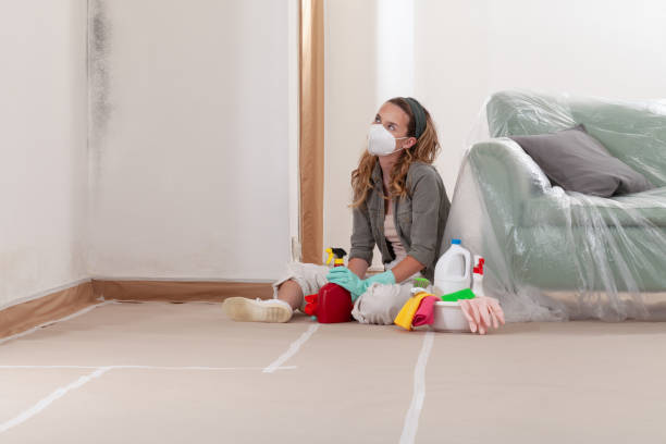 Reliable Mold Removal contractor in McBain, MI by Car Mold Remediation